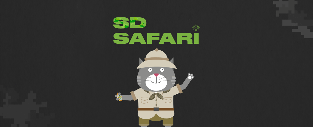 Акция SD Safari. Новая акция для вебмастеров
