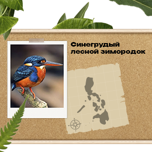 лучшие офферы PDL International на ГЕО Филиппины